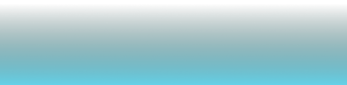 overlay1